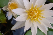 R0014004.JPG
